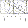 mur-2s-1w.gif (13794 bytes)