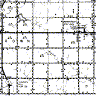 musk-13n-16e.gif (21308 bytes)