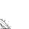 paw-21n-9e.gif (5087 bytes)