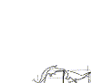 pitt-10n-17e.gif (5111 bytes)
