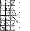 pott-10n-5e-cem.gif (16555 bytes)